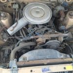 1978_neola-ia_engine.jpg