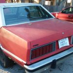 1983_buckner-mo (2)