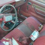 1983_buckner-mo (5)