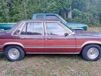 1981 naselle wa