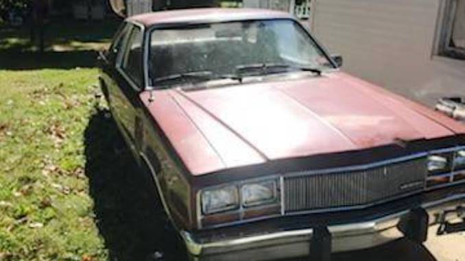 1983 ardsley ny