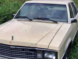 1978 marengo il