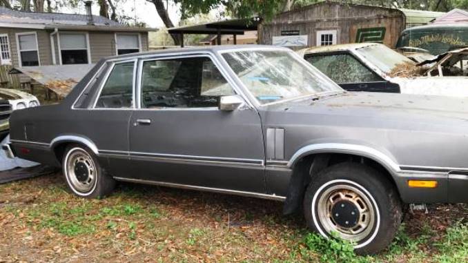 1979 brandon fl