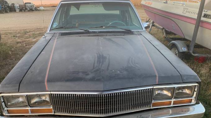 1981 vienna sd