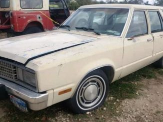 1978 austin tx