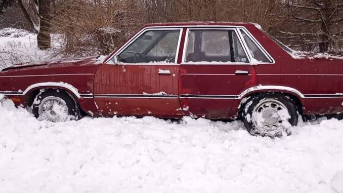 1982 rockford il