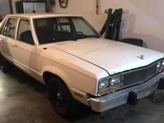 1979 adairsville ga