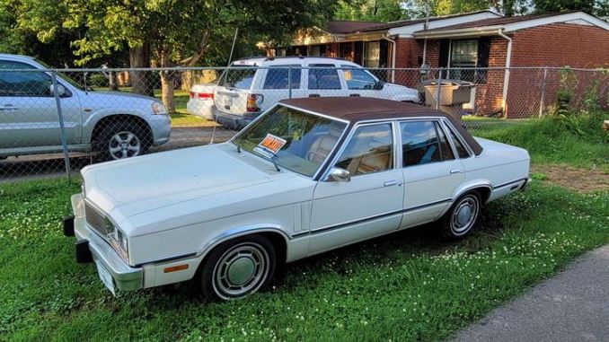 1981 nashville tn