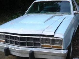 1980 calhoun ga