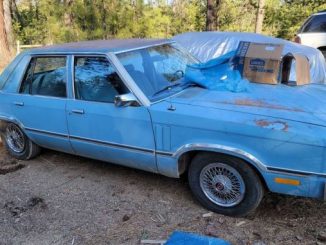 1978 deer park wa