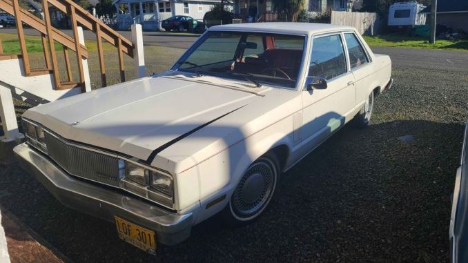 1978 1981 garibaldi or