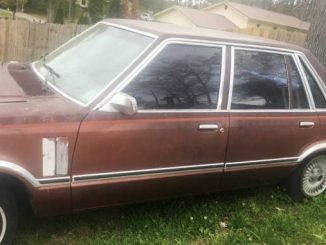 1982 hamilton al
