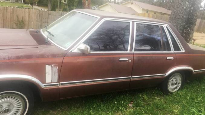 1982 hamilton al