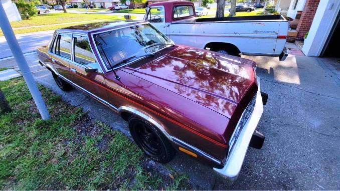 1983 georgia vt