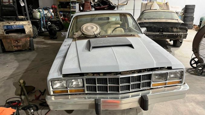 1981 syracuse ks