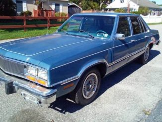 1983 patchogue ny