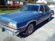 1983 patchogue ny