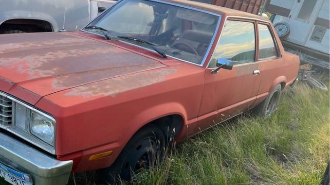 1979 great falls mt
