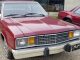 1981 springfield il