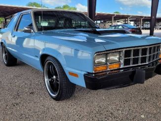 1981 hempstead tx