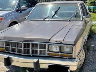 1982 billings mt