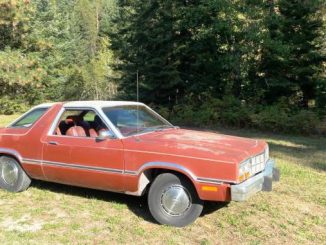 1980 sandpoint id
