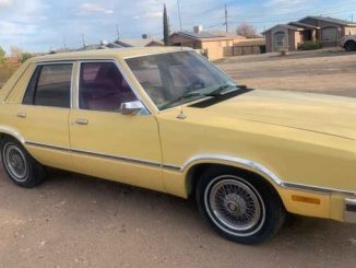 1979 el paso tx