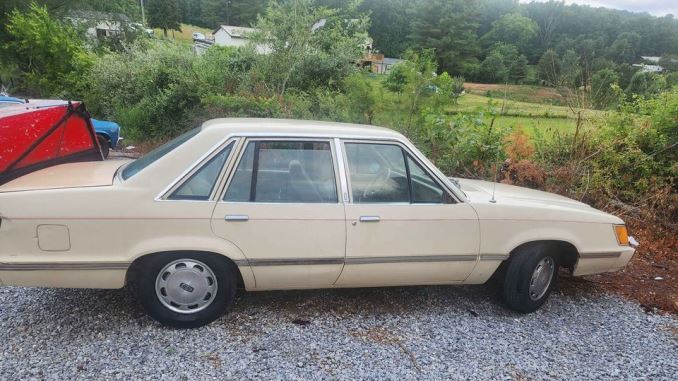 1981 corryton tn