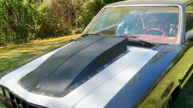 1979 Ford Fairmont Futura 2DR Coupe For Sale in Eclectic, AL