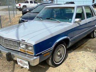 1982 Ford Fairmont 4DR Sedan For Sale in Wallace, SC